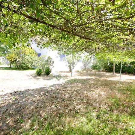 아파트 Salentonthebeach Con Giardino